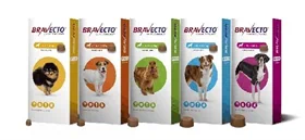 ברבקטו כדור נגד פרעושים וקרציות  BRAVECTO