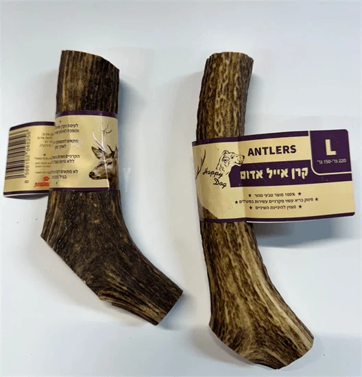 קרן אייל אדום שלמה לכלב 100% טבעי מידה L
