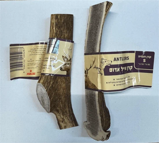 קרן אייל אדום לכלב שלמה 100% טבעי מידה S