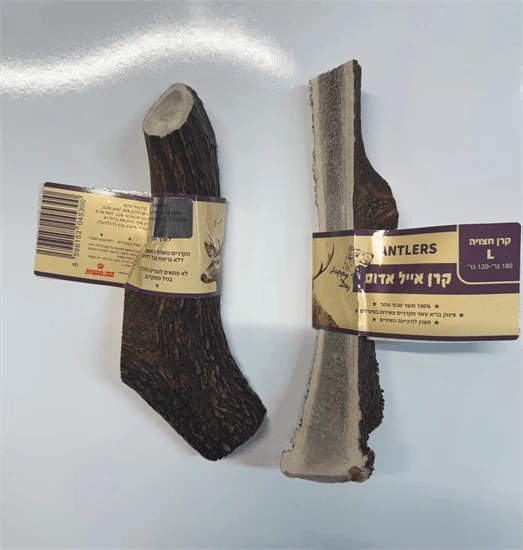 קרן אייל אדום לכלב חצויה 100% טבעי מידה L