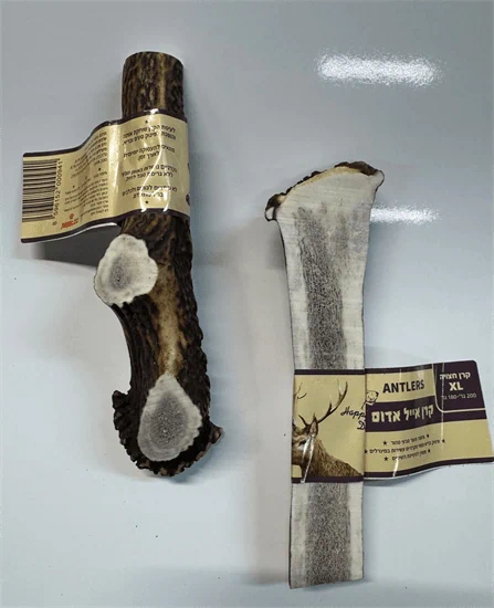 קרן אייל אדום לכלב חצויה 100% טבעי מידה XL